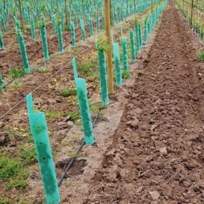 Plastic Tree Plant Shelters