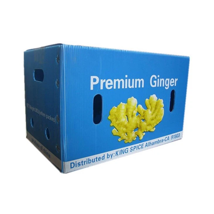 PP Corrugated Plastic Ginger Boxes