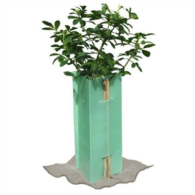 3 mm Corflute Tree Guards
