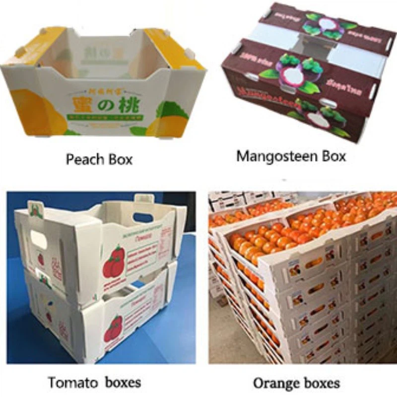 Fruit Packaging Box