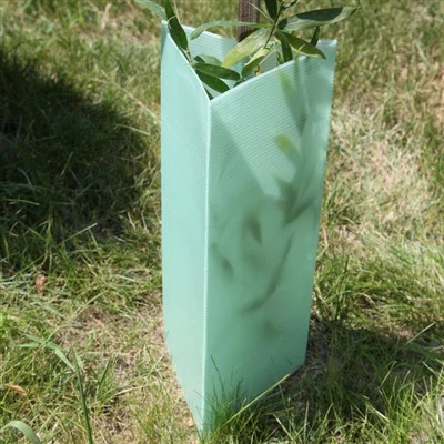 PP Plast Corflute Tree Guard